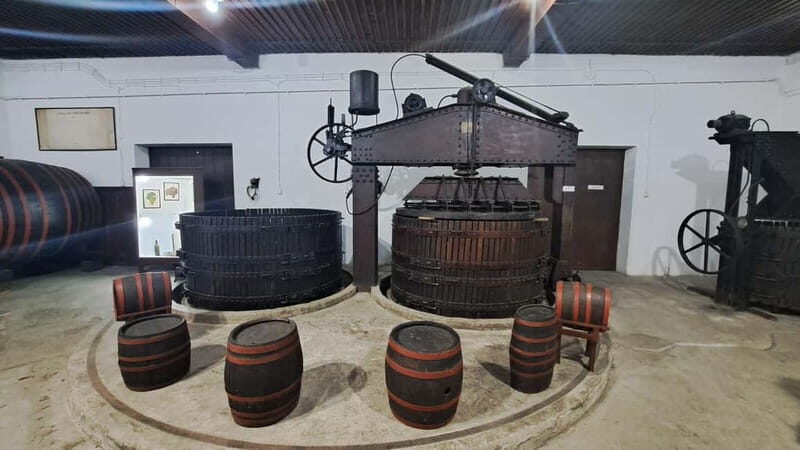 HISTORY WINE & ROYALTY (Avala mountain  Topola  Oplenac) - The Marvel of Oplenac: Where Art and Royalty Meet