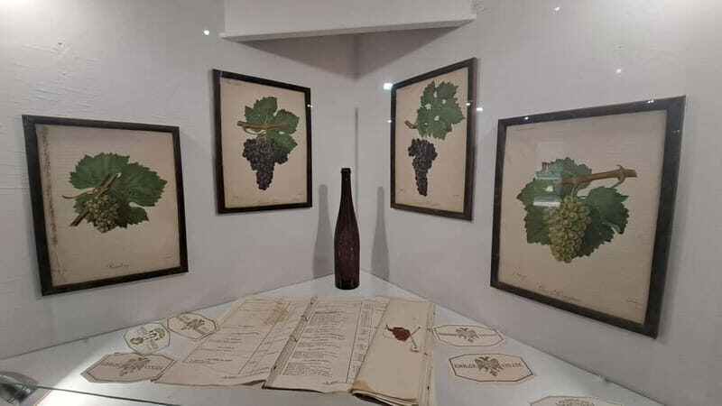 HISTORY WINE & ROYALTY (Avala mountain  Topola  Oplenac) - Price and Value