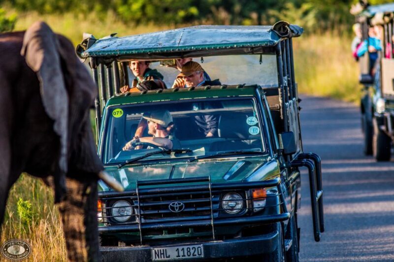 Hluhluwe-Imfolozi: Big 5 Full or Half-Day Safari - Key Points