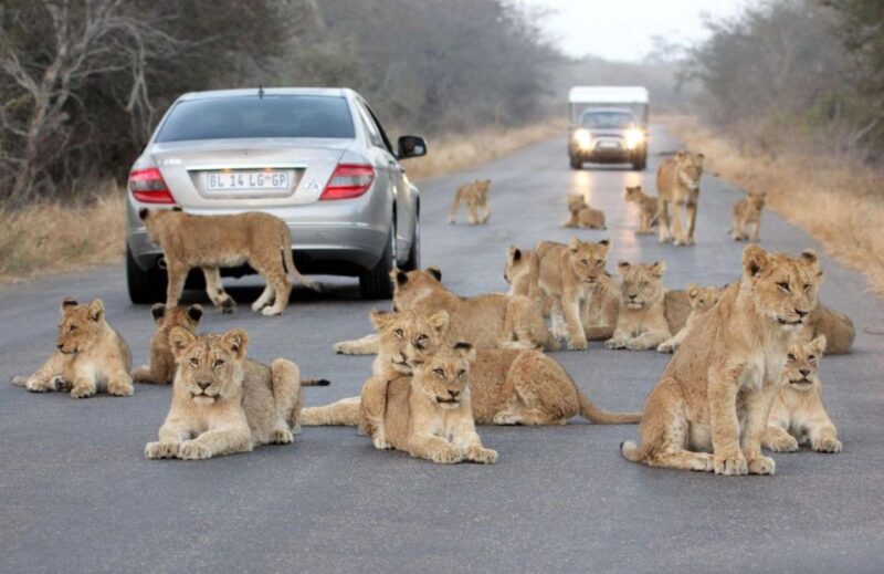 Hluhluwe & Isimangaliso Wetlands Park 2 Day Tour From Durban - Accomodation