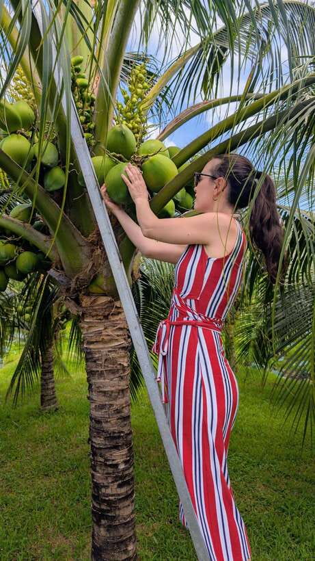 Ho Chi Minh: 1-Day Mekong Delta Tour-Floating Market & Islet - What to Bring