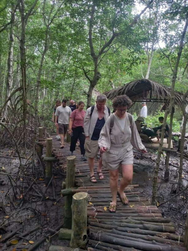 Ho Chi Minh: Can Gio Mangrove and Monkey Island - Itinerary Highlights
