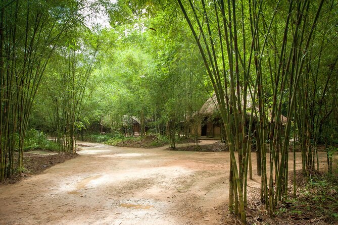 Ho Chi Minh City And Cu Chi Tunnels Excursion - Accessibility Information