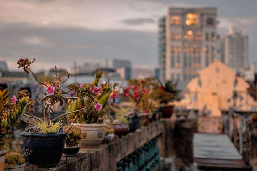 Ho Chi Minh: City Highlights & Hidden Gems Walking Tour - Customer Feedback