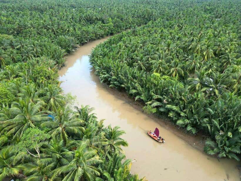 Ho Chi Minh City: Mekong Delta Day Trip With Lunch & Drinks - Countryside Exploration