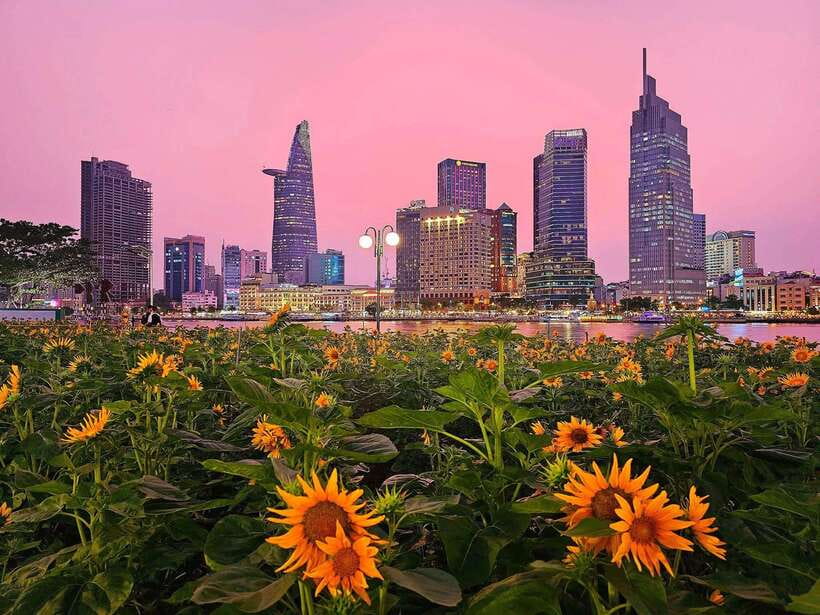 Ho Chi Minh City Sightseeing Full-Day Tour With Great Guide - Saigons Historic Architecture and Landmarks