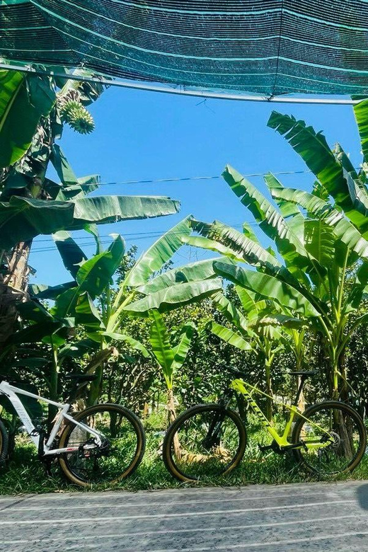 Ho Chi Minh: Mekong Delta Day Trip Small Group (Max 11 Pax) - Key Points