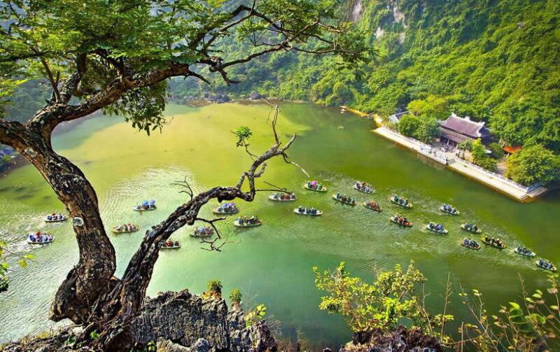 Hoa Lu and Tam Coc in Ninh Binh Full Day Tour - Scenic Views and Natural Beauty