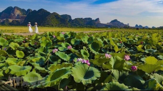 Hoa Lu - Mua Cave - Tam Coc Bich Dong - Biking & Boat Trip - Transportation Details