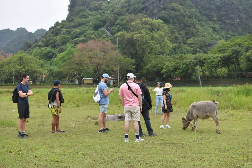 Hoa Lu Tam Coc Mua Cave Day Trip, Boat & Bike - Best Selling - Important Information
