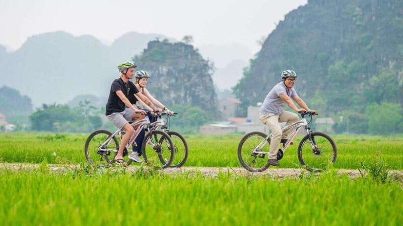 Hoa Lu – Tam Coc – Mua Cave: Full-Day Adventure Tour - Key Points