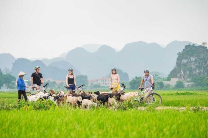 Hoa Lu - Trang An - Mua Cave Small Group - Tour Highlights