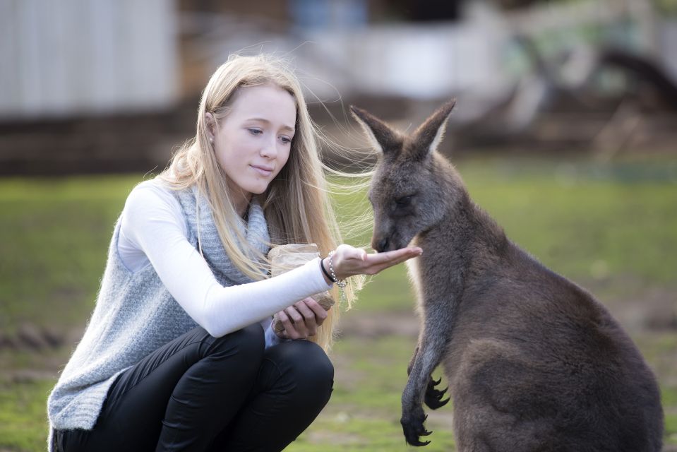 Hobart: Admission Ticket to Bonorong Wildlife Sanctuary - Reservation and Payment Details