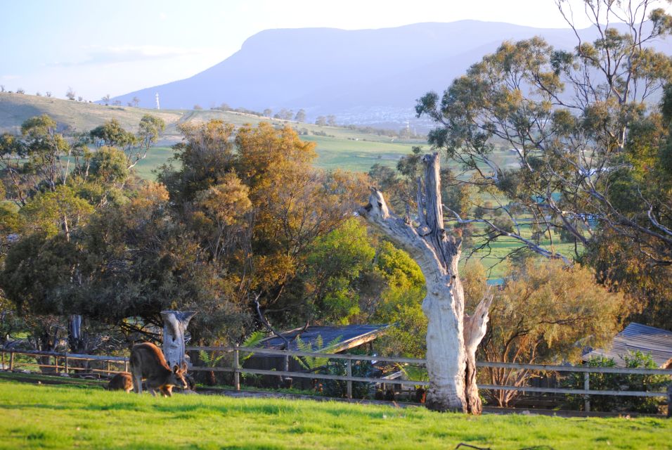 Hobart: Admission Ticket to Bonorong Wildlife Sanctuary - Validity and Language Support
