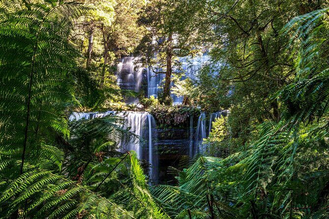 Hobart Adventurer Day Tour | Amazing Views & Native Wildlife - A Detailed Look at the Hobart Adventurer Day Tour
