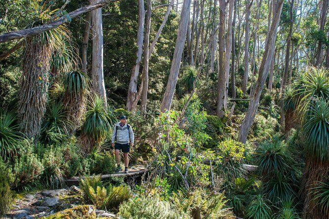 Hobart Adventurer Day Tour | Amazing Views & Native Wildlife - Final Thoughts