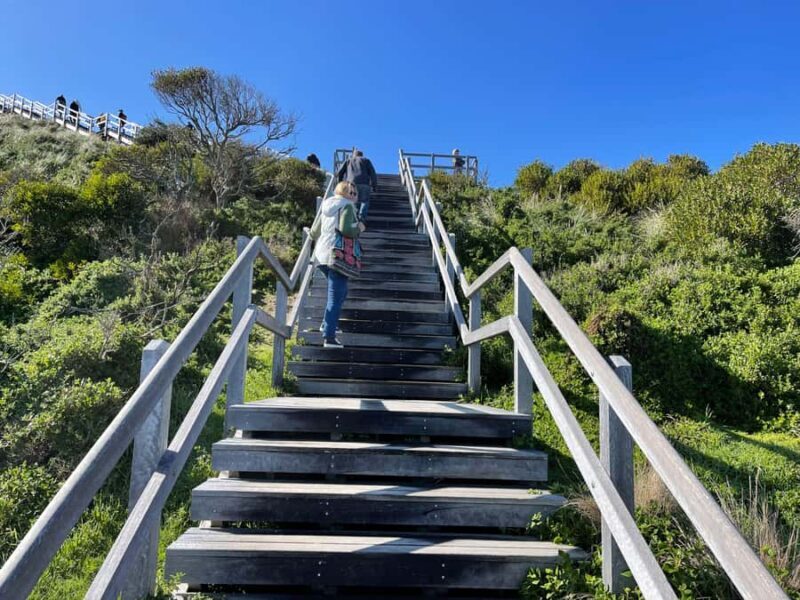 Hobart: Bruny Island Adventure: Hike, Highlights & Tastes - Transportation & Group Size: Why It Matters
