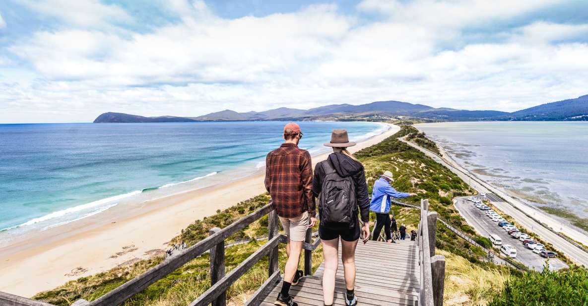 Hobart: Bruny Island Adventure With Lunch & Lighthouse Tour - Key Points