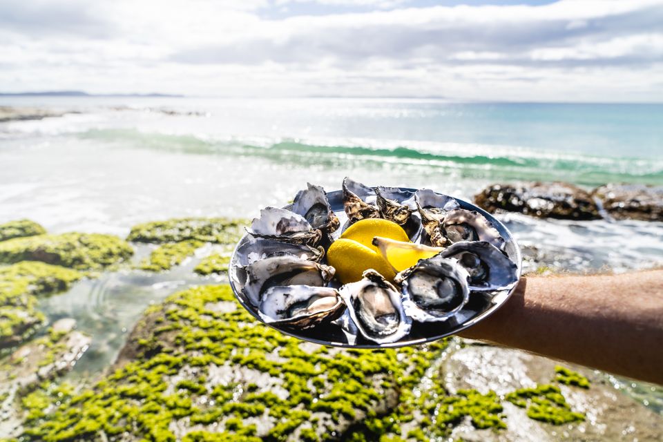 Hobart: Bruny Island Adventure With Lunch & Lighthouse Tour - Experience Highlights