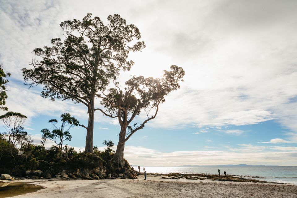 Hobart: Bruny Island Adventure With Lunch & Lighthouse Tour - Customer Reviews