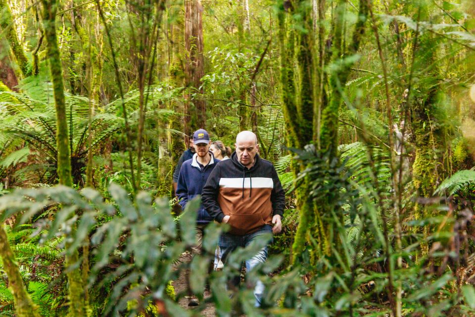Hobart: Bruny Island Gourmet Sightseeing Day Tour - Highlights
