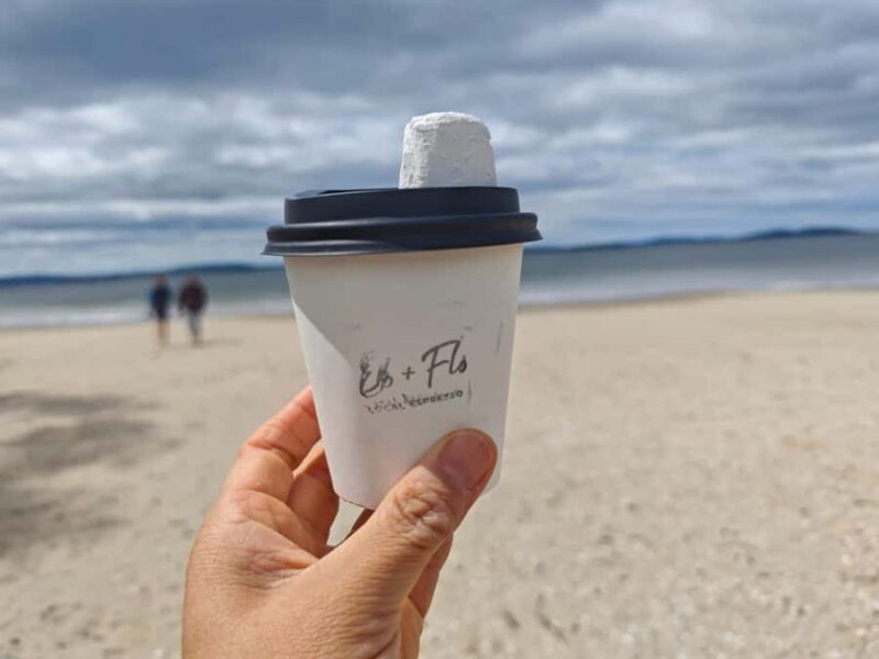 Hobart, Bush and Beach Escape - 2 Hour Small Group Tour - Key Points