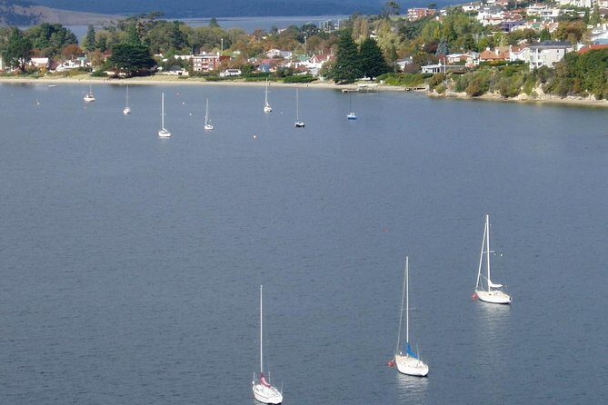 Hobart City Flight Including Mt Wellington and Derwent River - Discovering Hobart from Above: What You Can Expect