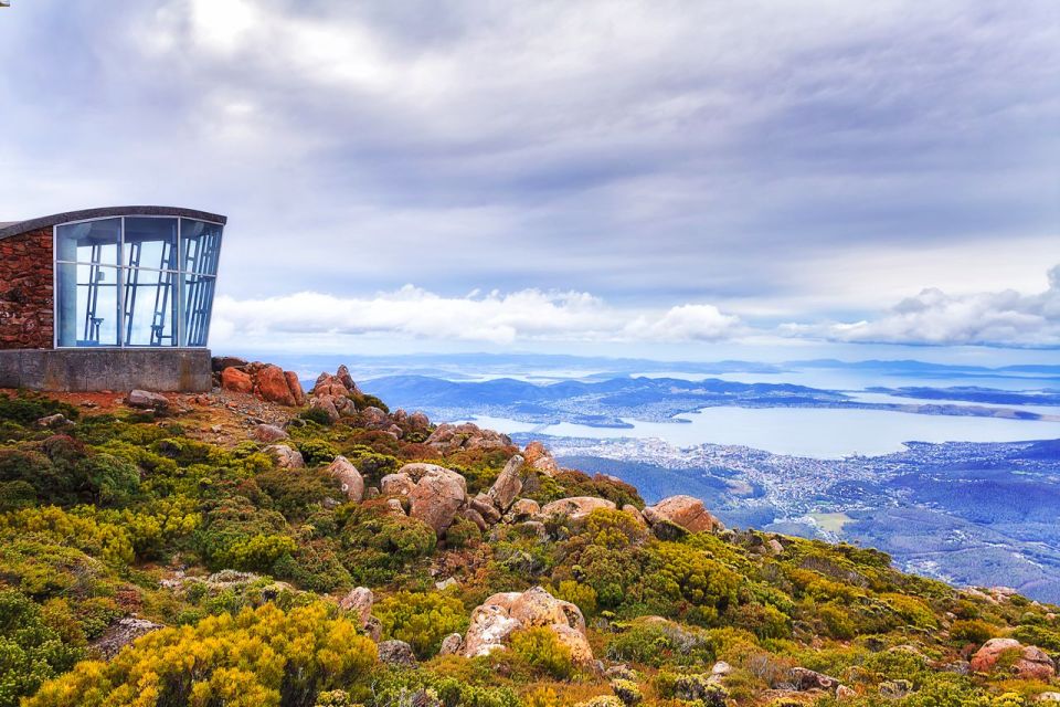 Hobart: Day Trip to Mt Wellington and MONA With Ferry Ride - Activity Highlights