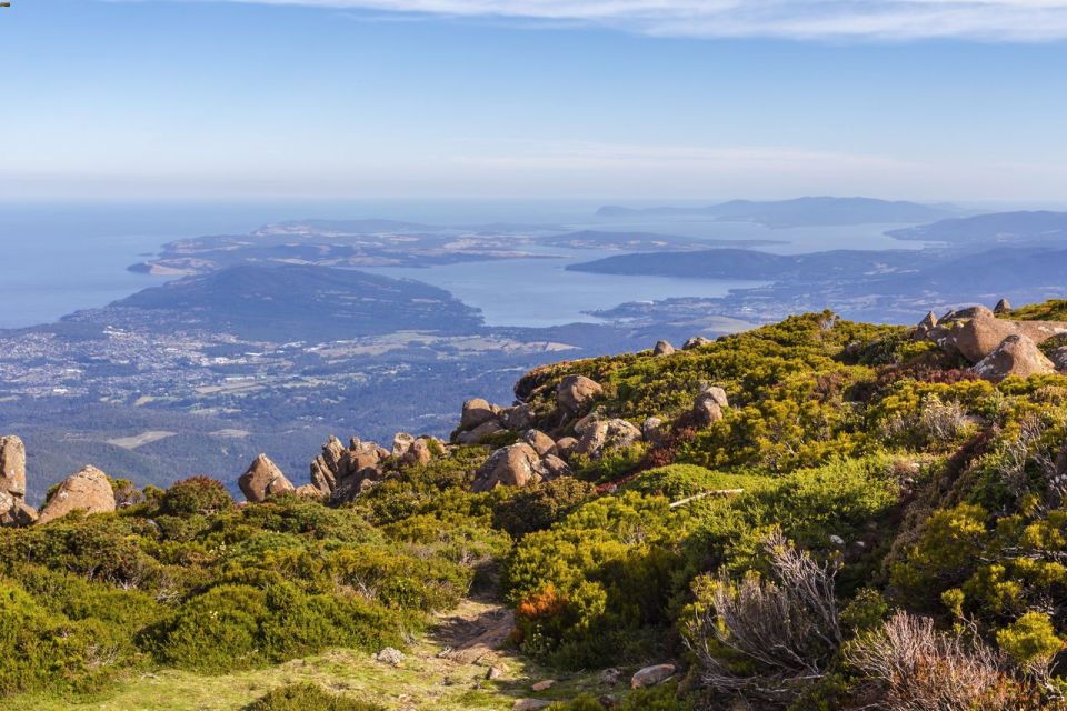Hobart: Day Trip to Mt Wellington and MONA With Ferry Ride - Important Information
