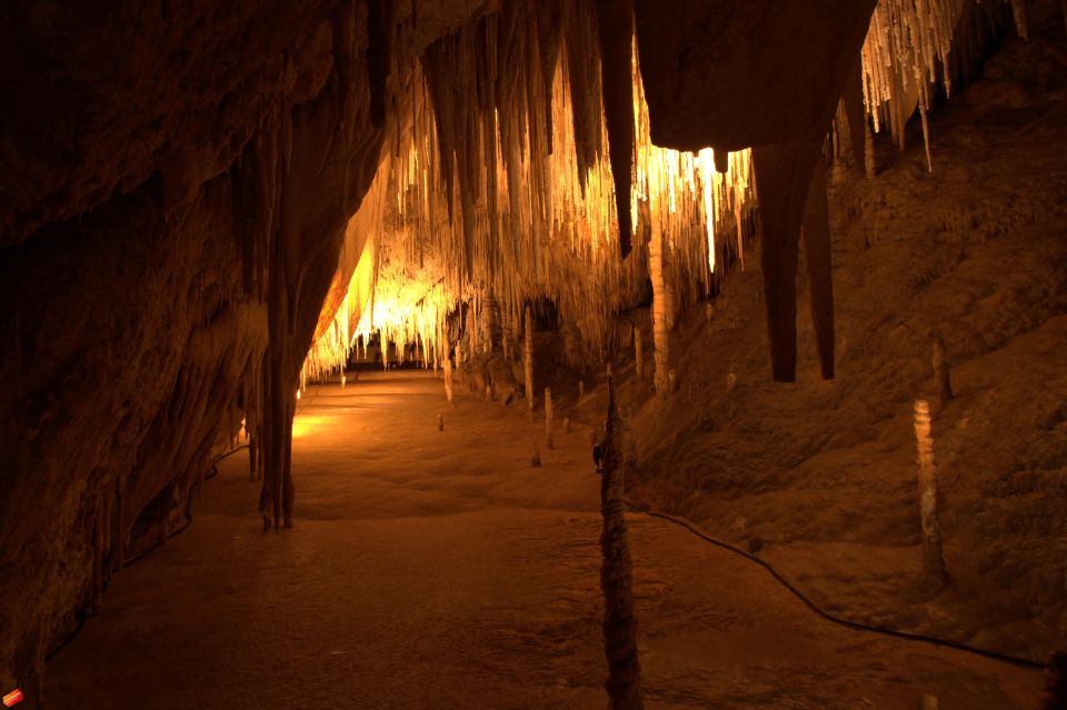 Hobart: Full-Day Tahune Airwalk & Hastings Caves Tour - Highlights