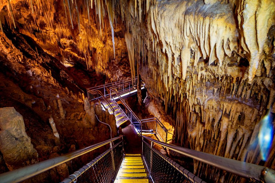 Hobart: Full-Day Tahune Airwalk & Hastings Caves Tour - Restrictions