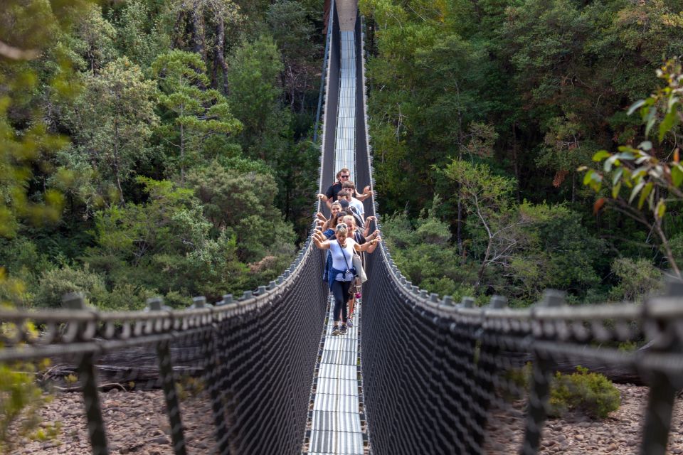 Hobart: Full-Day Tahune Airwalk & Hastings Caves Tour - Recap