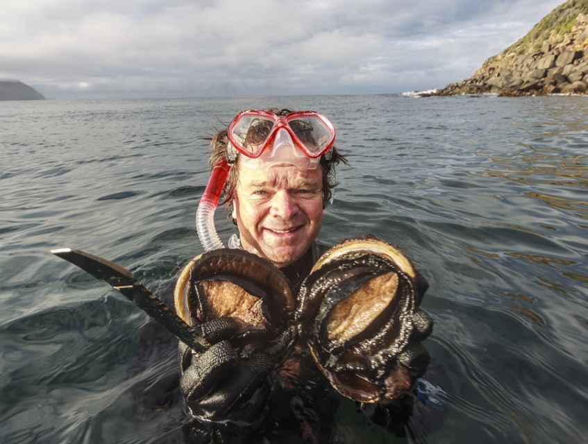 Hobart: Full-Day Tasmania Gourmet Seafood Cruise - Key Points