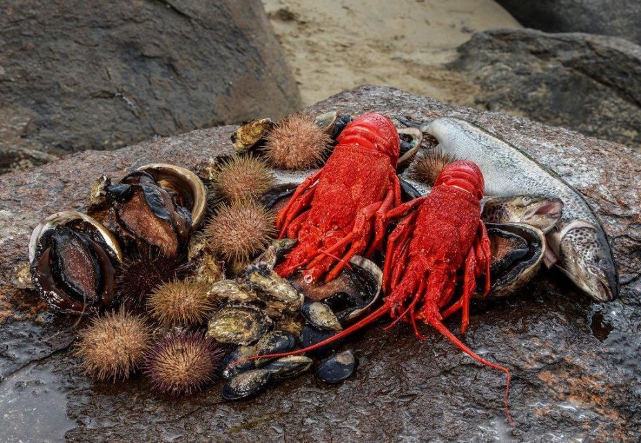 Hobart: Full-Day Tasmania Gourmet Seafood Cruise - Food & Drinks Offered