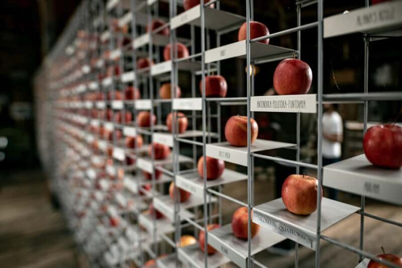 Hobart: Hastings Cave, Tahune Airwalk and Huon Tasting Trail - Key Points