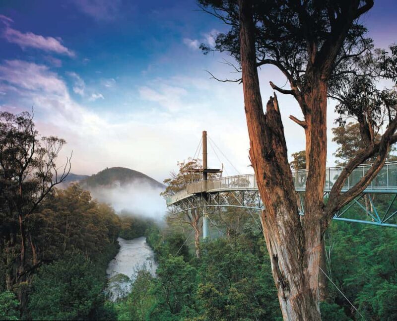 Hobart: Hastings Cave, Tahune Airwalk and Huon Tasting Trail - An In-Depth Look at the Experience