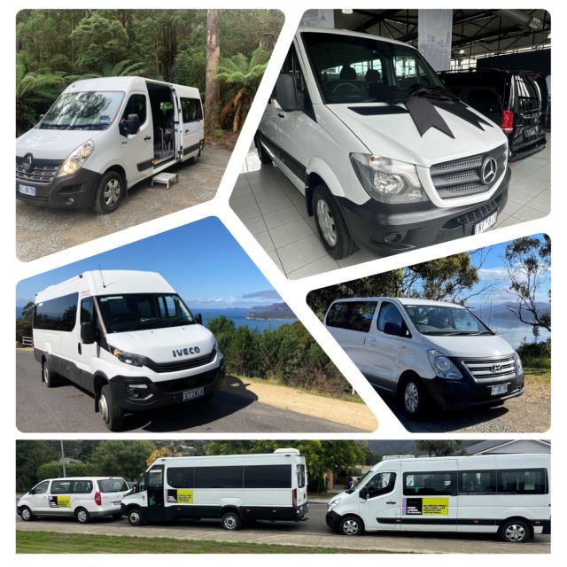Hobart: Hastings Caves, Tahune Airwalk, and Huon Valley Tour - Itinerary