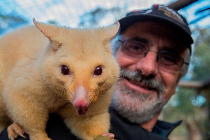 Hobart Highlights Day Tour - Final Thoughts