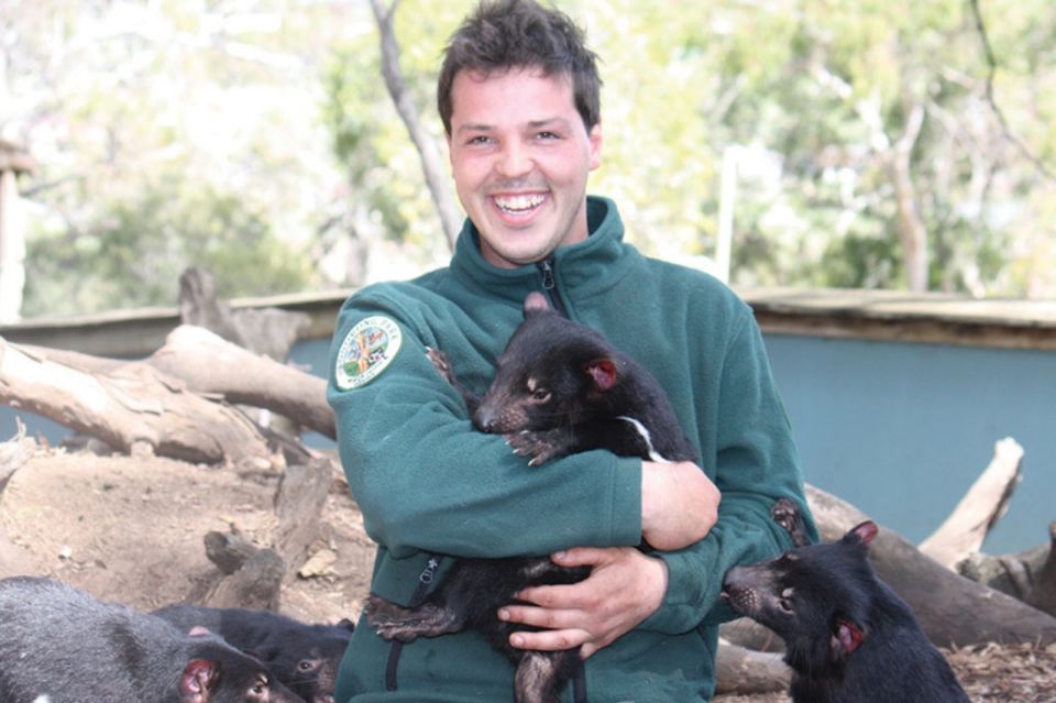 Hobart: Hobart, Richmond, & Bonorong Wildlife Sanctuary Tour - Key Points