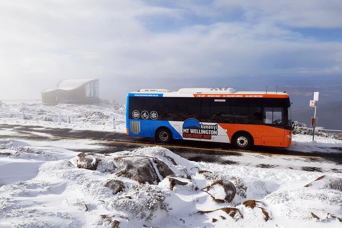 Hobart Hop-On Hop-Off Bus & kunanyi/Mt Wellington Tour - A Deep Dive into the Experience