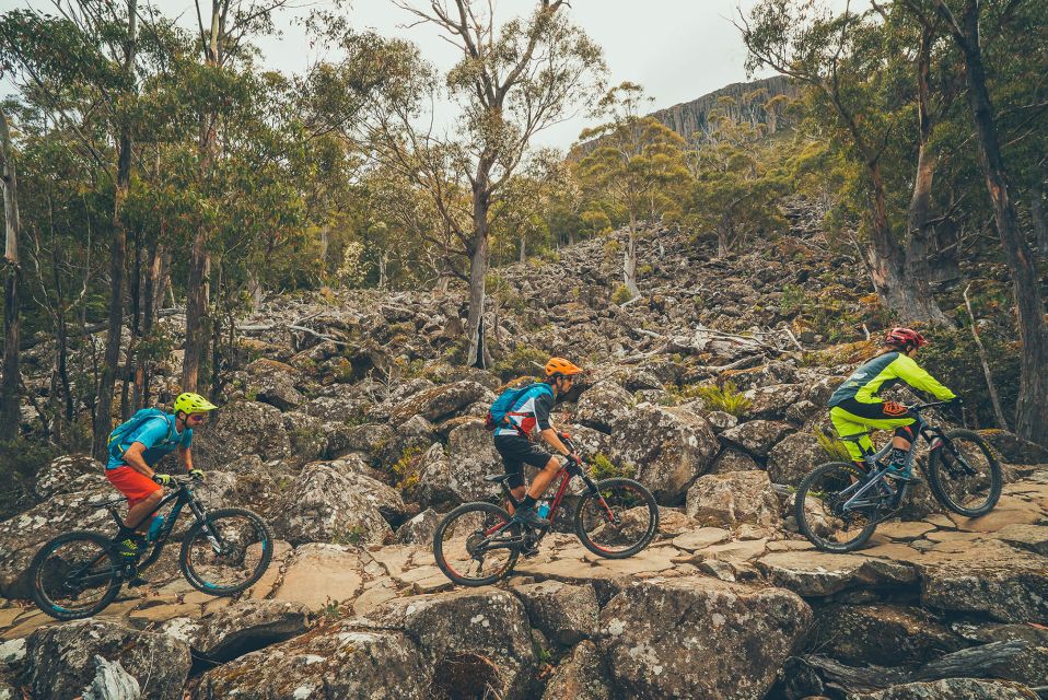 Hobart: Kunanyi/Mt Wellington Explorer Bus Pass - Experience Itinerary