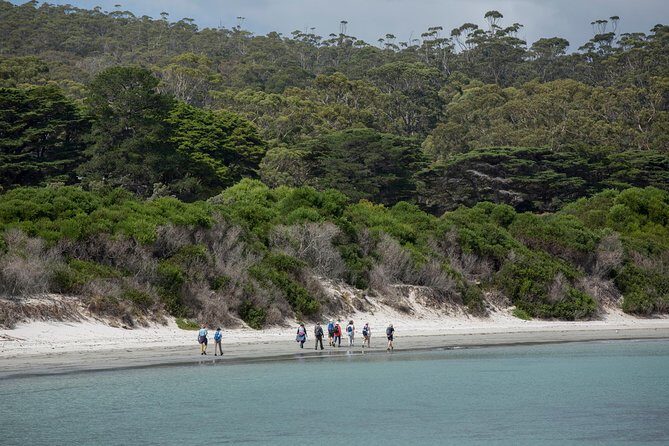 Hobart: Maria Island National Park - Nature & Wildlife Adventure - Practical Details & Tips