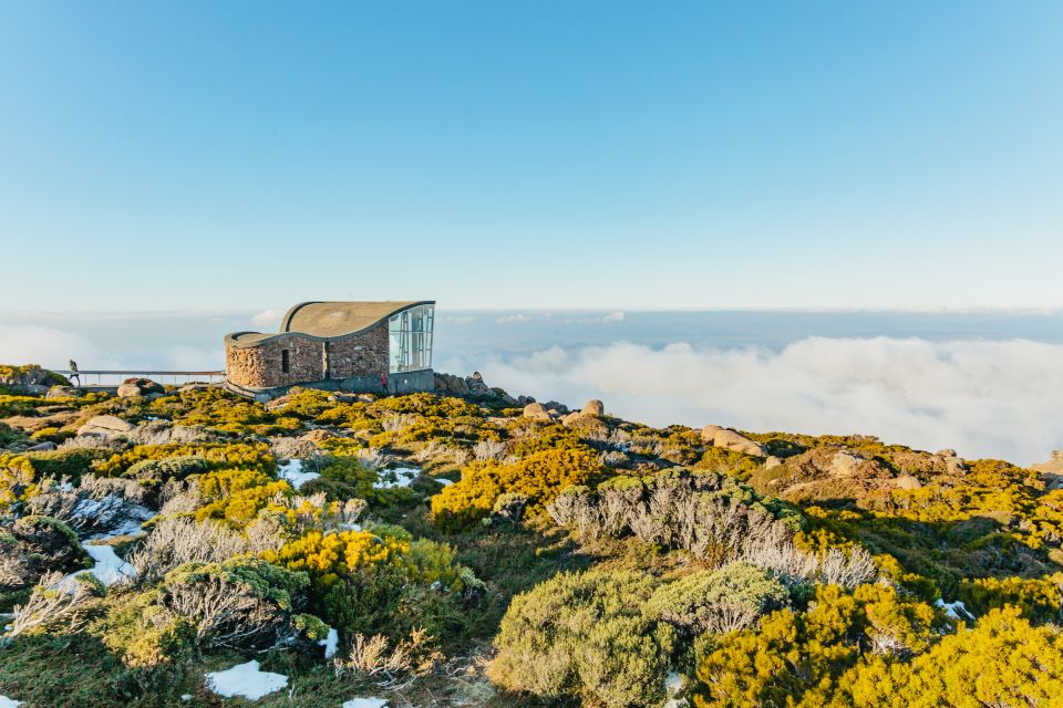 Hobart: Mt Wellington, Mt Field, Bonorong and Richmond Trip - Customer Reviews