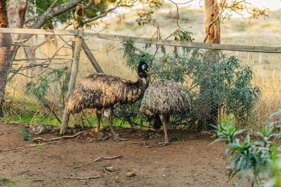 Hobart: Mt Wellington, Mt Field, Bonorong and Richmond Trip - Important Information