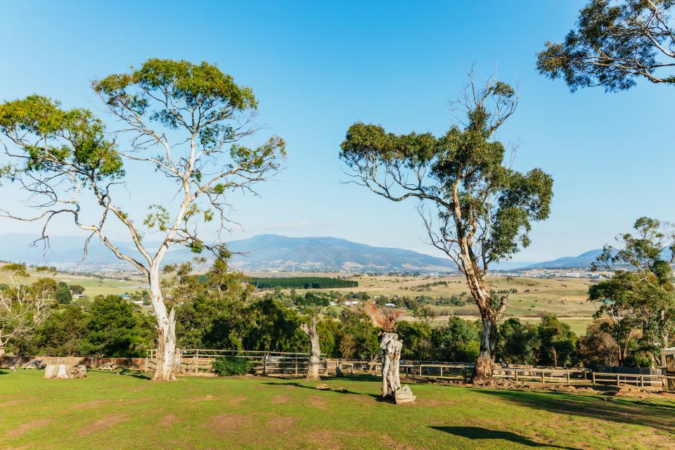 Hobart: Mt Wellington, Mt Field, Bonorong and Richmond Trip - Frequently Asked Questions