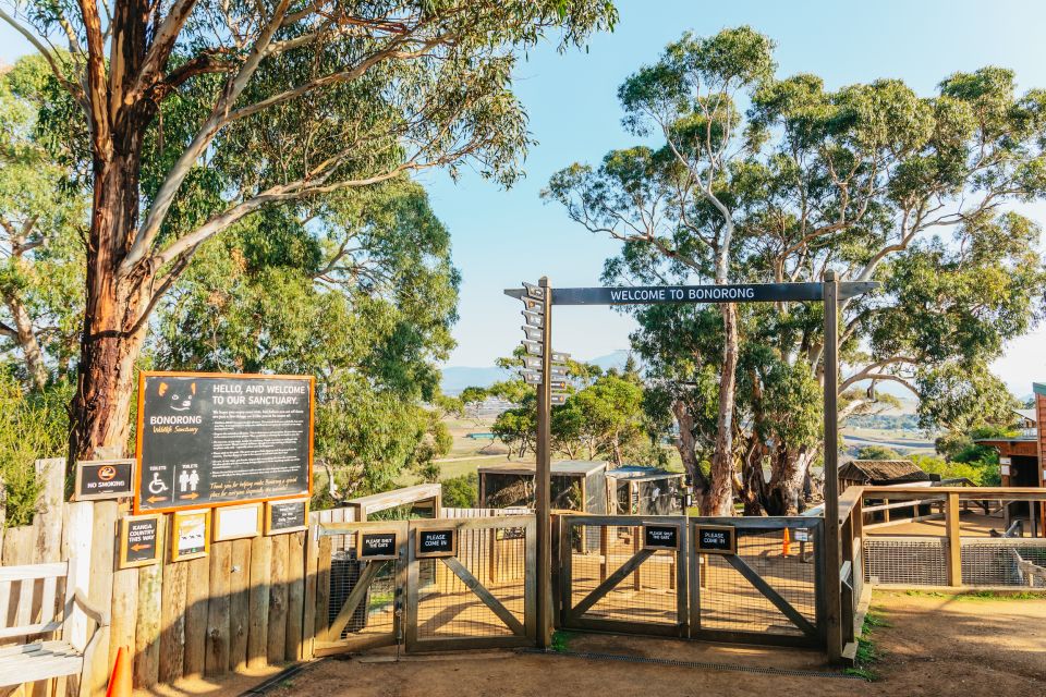 Hobart: Mt Wellington, Mt Field, Bonorong and Richmond Trip - Recap