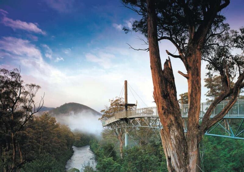 Hobart: Port Arthur, Bruny, Hastings, and Tahune 4-Day Trip - Exploring the Itinerary: What Youll Experience