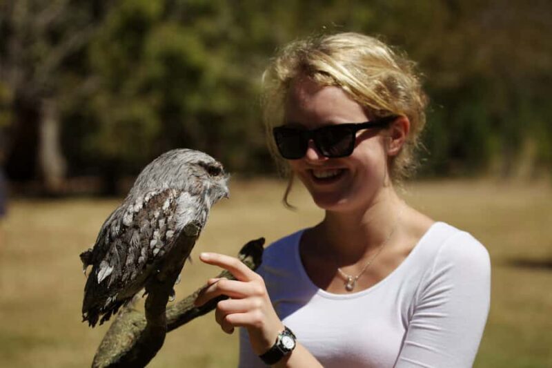 Hobart: Port Arthur, Richmond & Tassie Devil - Active Tour - FAQs