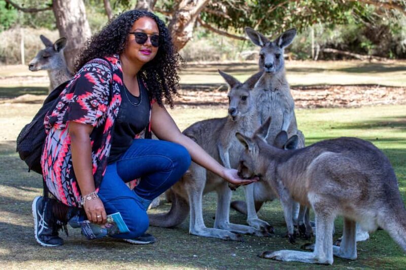 Hobart: Port Arthur, Richmond & Tassie Devil - Active Tour - Final Thoughts