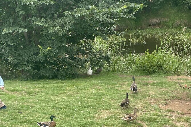 Hobart Shore Excursion Aussie Wildlife and Sighseeing Shared Tour - Who Is This Tour Best For?